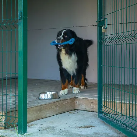 Loft Κατάλυμα σε φάρμα